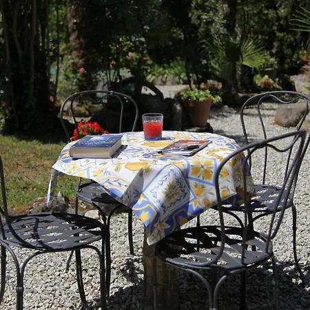 Le Ortensie Di Vittoria Nel A Pochi Minuti Di Auto Dalle Spiagge * Mezzanego