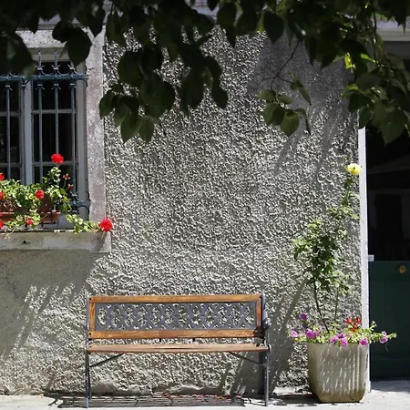 Le Ortensie Di Vittoria Nel A Pochi Minuti Di Auto Dalle Spiagge * Mezzanego