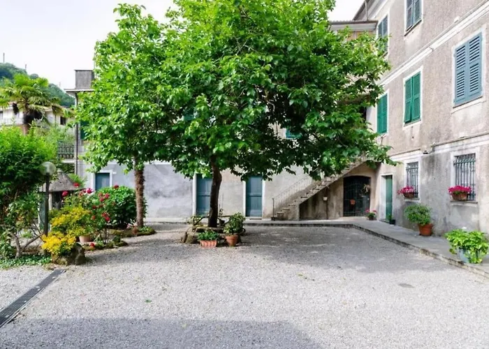 Le Ortensie Di Vittoria Nel A Pochi Minuti Di Auto Dalle Spiagge *