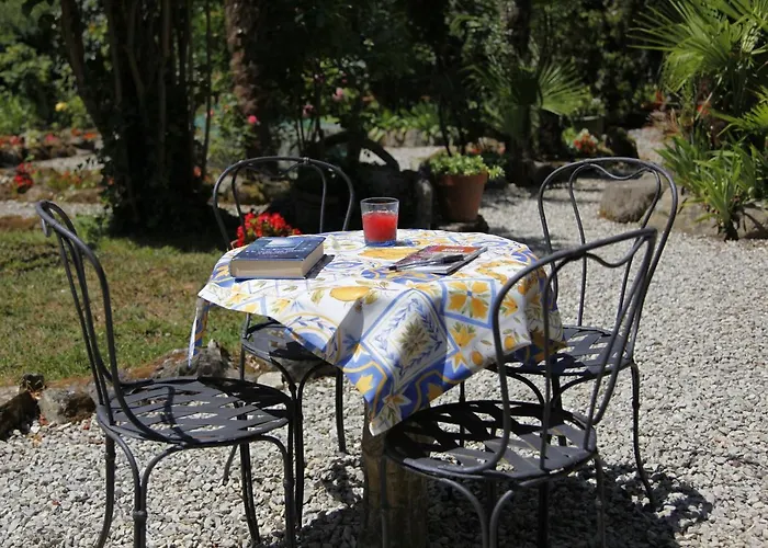 Le Ortensie Di Vittoria Nel A Pochi Minuti Di Auto Dalle Spiagge * Mezzanego