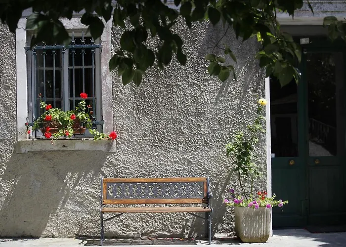 Le Ortensie Di Vittoria Nel A Pochi Minuti Di Auto Dalle Spiagge * Mezzanego